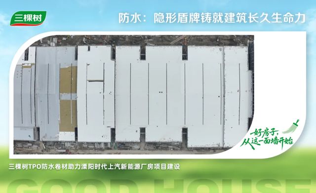 三棵樹築就「綠色低碳人居」新標杆