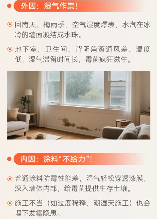 亞士長效防黴科技終結牆麵黴變！從一麵好牆開始！