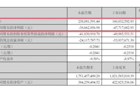 再虧3866萬！海歸少帥接班難扭頹勢，飛鹿股份創始人章衛國擬套現離場