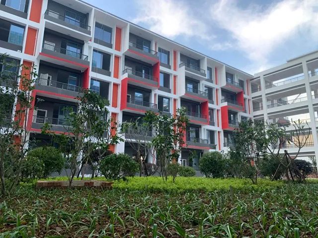 久諾以綠色校園場景解決方案，全方位打造健康、安全、高顏值校園！