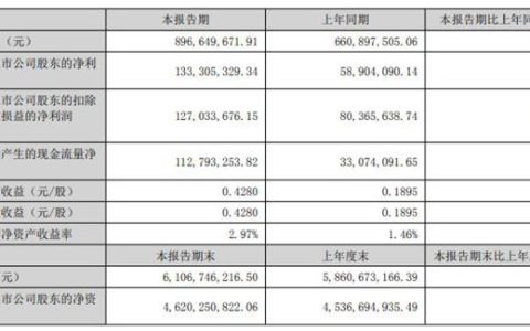 淨利潤狂飆126%，塗料卻“降價也賣不動”？上海新陽遭遇“冰火兩重天”