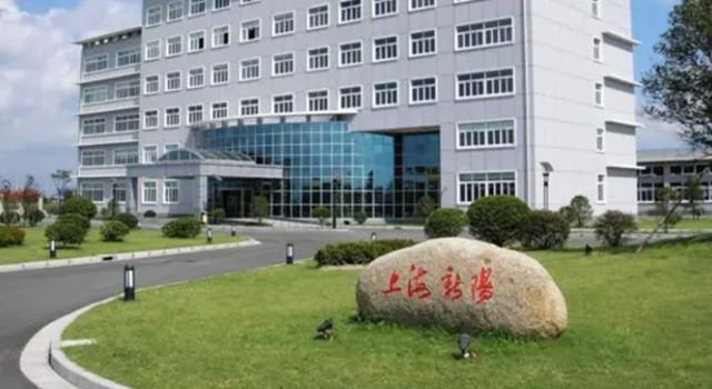 淨利潤狂飆126%，塗料卻“降價也賣不動”？上海新陽遭遇“冰火兩重天”