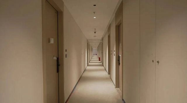 三棵樹商業空間藝術漆賦能美的ALSO酒店，塑造企業空間美學新風尚